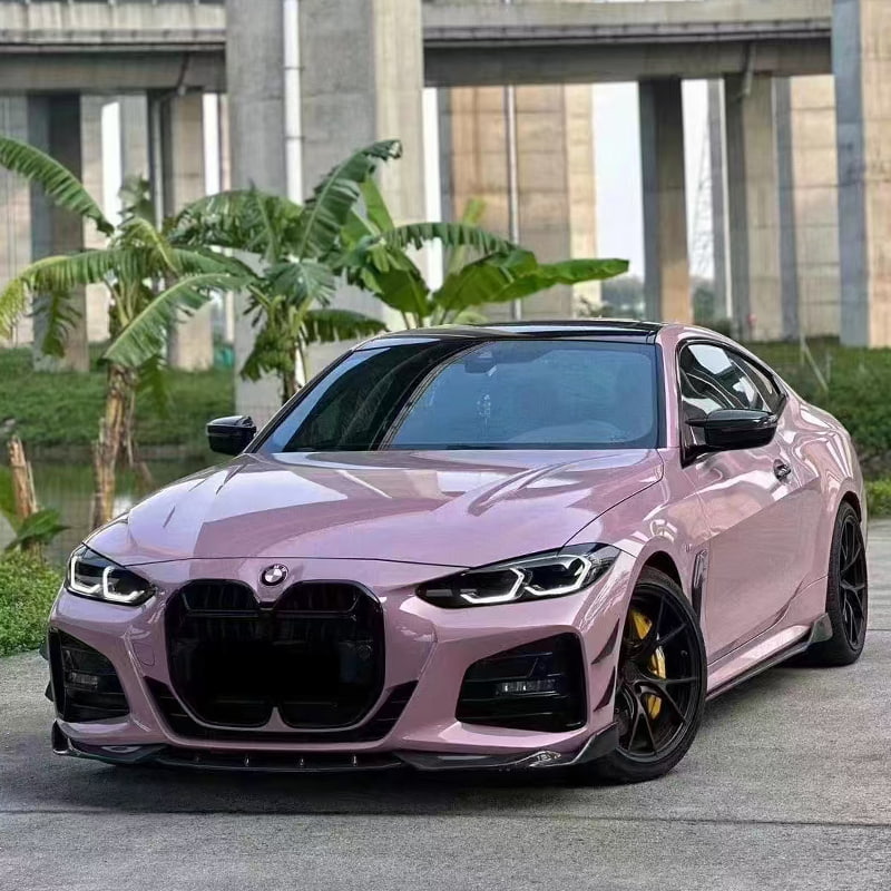 Beskyttelse af billak